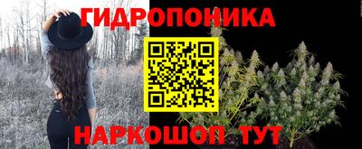 твердый Тара