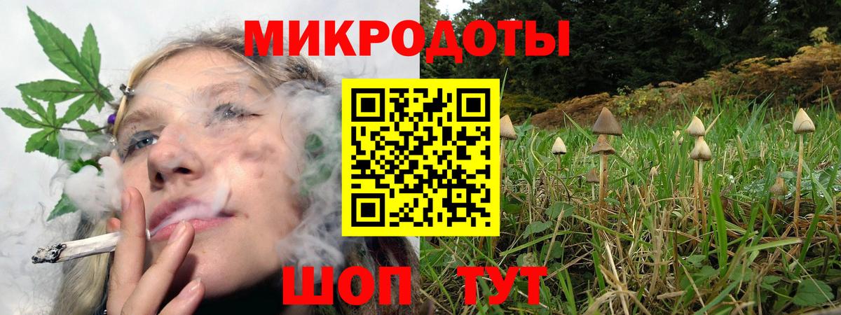 Псилоцибиновые грибы Cubensis Лабинск