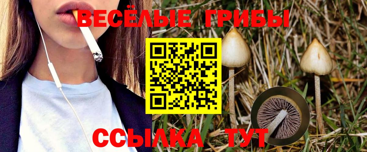 Лабинск  Псилоцибиновые грибы мицелий  Псилоцибиновые грибы мицелий  Вход с VPN 